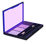 Ultraviolet Makeup Case Solution